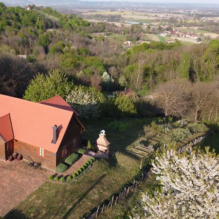 Вилла Kuca Za Odmor Stara Hiza Selnica Экстерьер фото